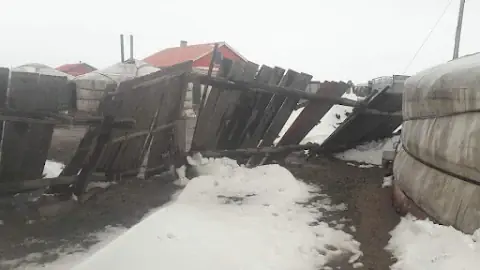 Чулуунбаатарын Чинбаатар, зураг 2